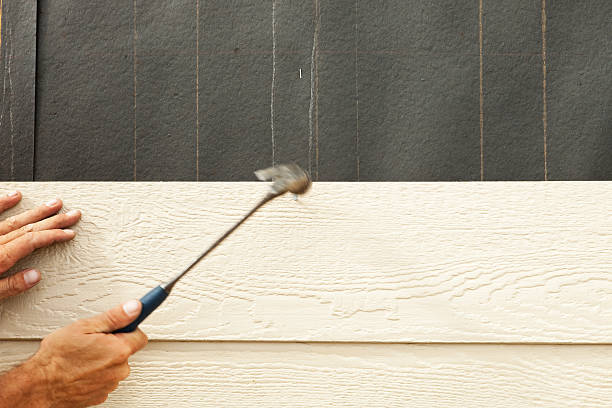 Best Historical Building Siding Restoration  in Butte, MT